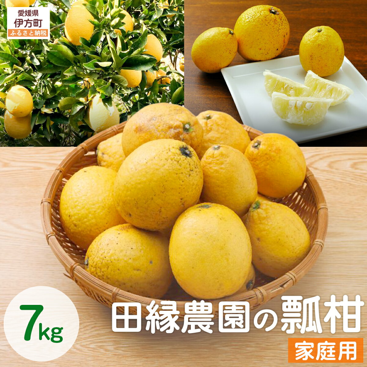 【ふるさと納税】【先行予約】【数量限定】家庭用 瓢柑(7kg) 訳あり ※北海道・沖縄・離島への配送不可 （2027年4月1日より順次発送） 【ふるさと納税 人気 おすすめ ランキング みかん 蜜柑 瓢柑 フルーツ 果物 訳あり 愛媛県産 田縁農園 愛媛県 伊方町 送料無料】 IKTA021