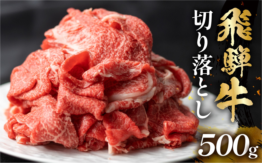 
飛騨牛 切り落とし 500g 訳あり 10000円 [S768]
