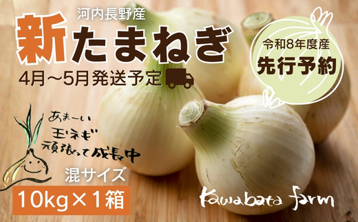 【令和8年度産新玉ねぎ先行予約】新玉ねぎ 10kg×1箱  ※4月～5月発送予定 混サイズ 玉ねぎ 新玉ねぎ たまねぎ タマネギ 玉葱 カレー シチュー 肉じゃが スープ サラダ 人気 大阪 河内長野 kawabata farm 料理 送料無料 先行予約 国産 エコ農産物 甘い玉ねぎ 野菜 食育 安心 安全