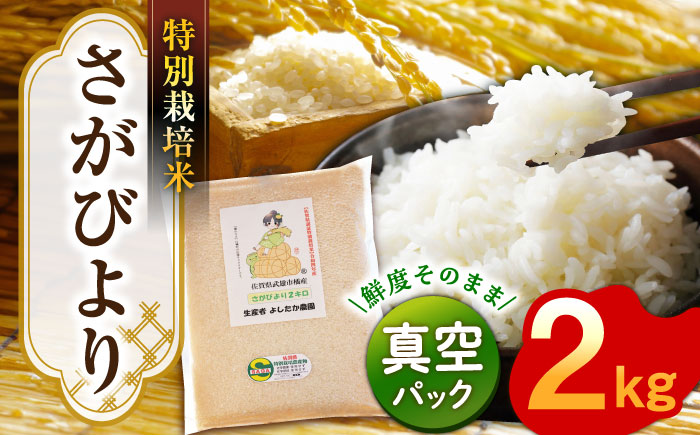 【特別栽培米！】令和7年産 新米 さがびより 2kg 武雄市橘産 [UCY002] 白米 米 お米 こめ 精米 ブランド米