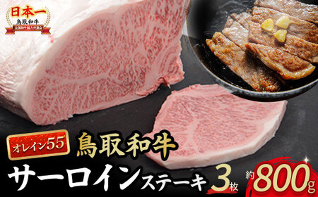 鳥取和牛 オレイン55 サーロインステーキ 3枚 （800g） 牛肉 黒毛和牛 KR1289