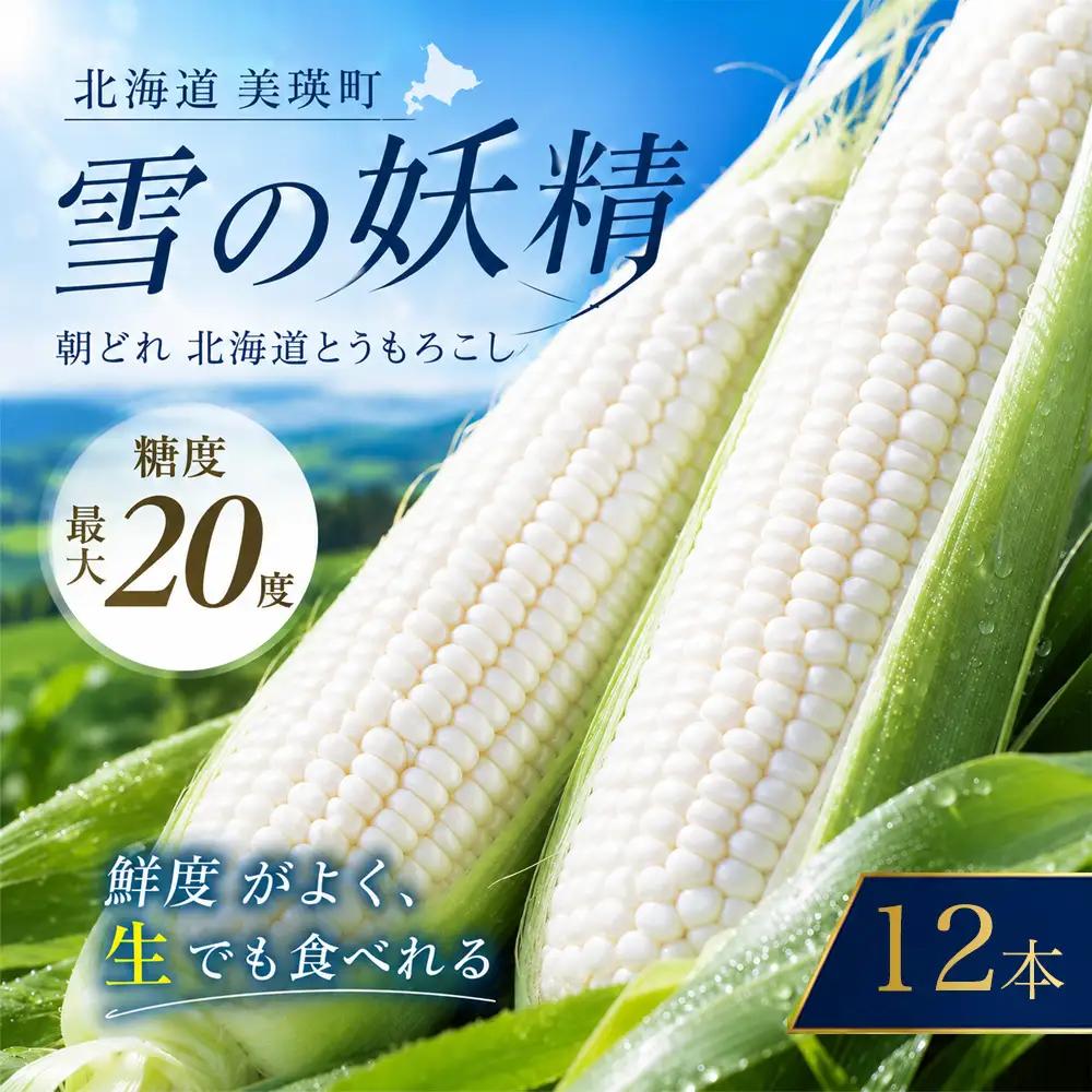 【令和9年産 先行予約】 とうもろこし 雪の妖精 12本 白 とうもろこし 北海道