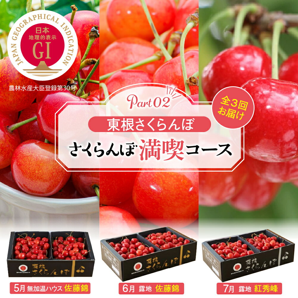 【ふるさと納税】［ 定期便 3回 ］ 2026年産 先行予約 GI東根さくらんぼ さくらんぼ 満喫 コースPart2 (2026年5月下旬～6月上旬頃スタート)/ 佐藤錦 紅秀峰 サクランボ くだもの フルーツ 化粧箱 セット 詰め合わせ 大容量 産地直送 山形県 東根市