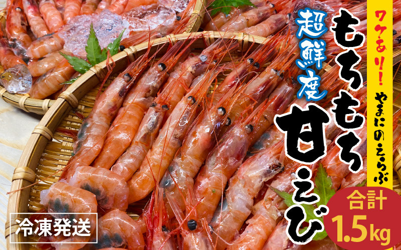 
[A-4349] 【訳あり】 とれたて三国港 やまにの選ぶ もちもち甘えび(冷凍) 約1.5kg
