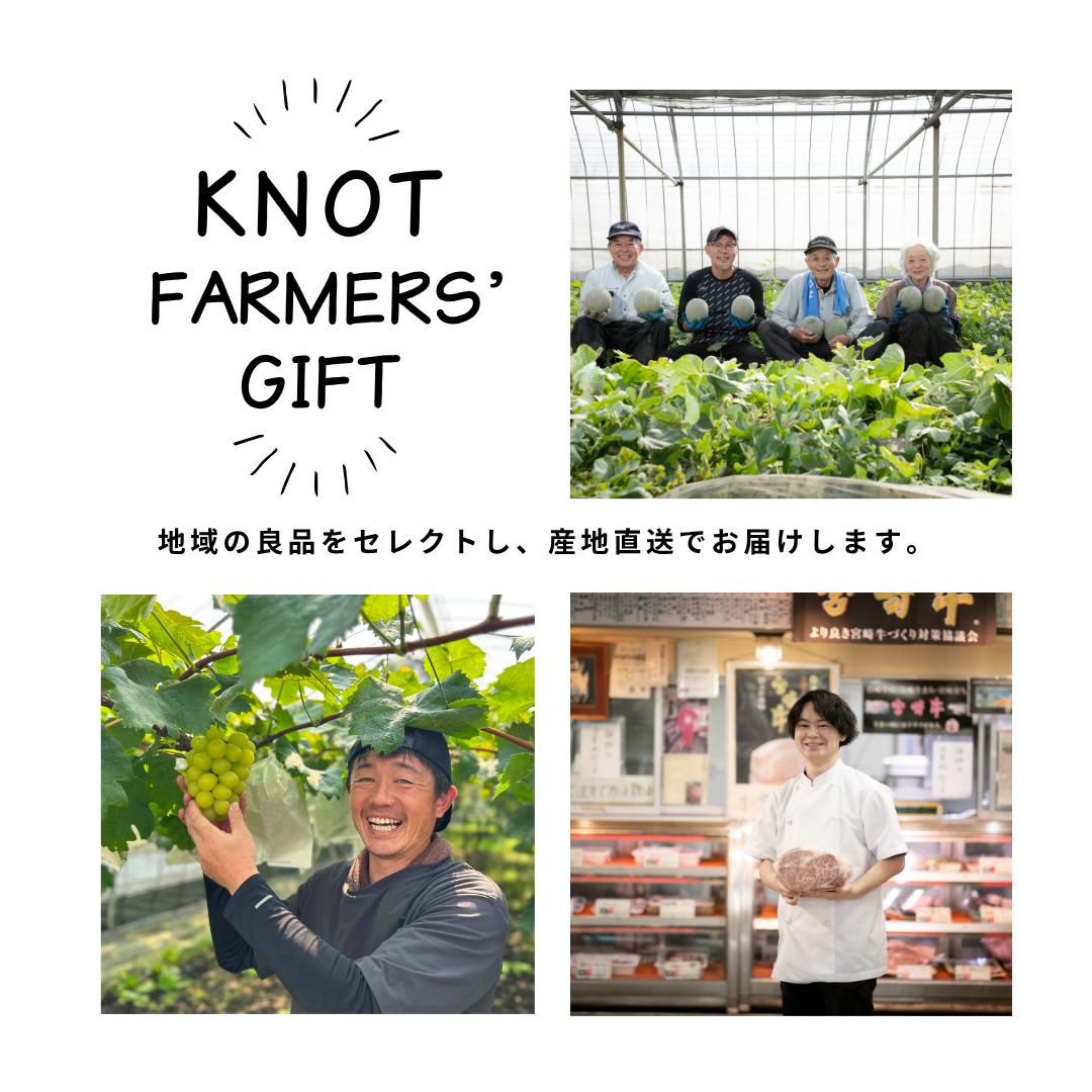 【2026年発送 先行予約】生産農家応援・濃厚果肉 みやざき完熟マンゴー 2L×3玉（マンゴー フルーツ アップルマンゴー 果物 くだもの 2026 先行受付 宮崎）