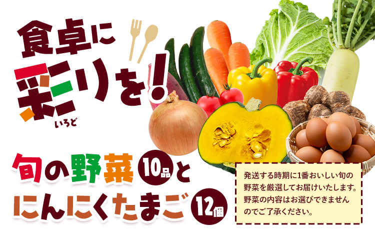 旬の野菜とたまごのセットメロンドーム 野菜 卵 にんにくたまご 卵 詰め合わせ 有限会社七城町特産品センター《90日以内に出荷予定(土日祝除く)》熊本県 菊池市 セット 新鮮 国産 九州産 熊本県 菊池市 道の駅 旬 送料無料
