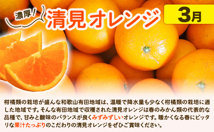 【発送月固定定期便】紀州 和歌山産 旬の ご家庭用 柑橘 セット (みかん 不知火 清見)【全３回】約16kg 株式会社魚鶴《2026年1月上旬-4月上旬頃出荷予定(土日祝除く)》 和歌山県 日高町 