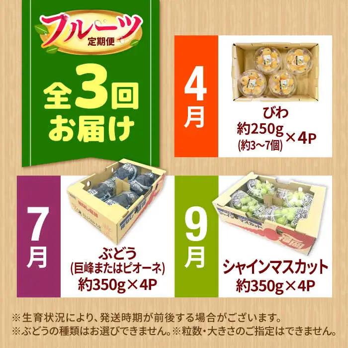 【先行予約2027年4月発送開始】【3回定期便】フルーツ定期便（びわ/ぶどう/シャインマスカット）果物 [AFAB025] 