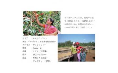 コーヒー豆＜のし付＞つくばで焙煎 エチオピア イルガチェフェ 200g×2種 飲み比べ 缶入り コーヒー