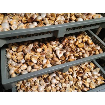 ふるさと納税 高岡市 富山県産にんにく元氣モリモリにんにく三昧　5品セット(計7点) |  | 01