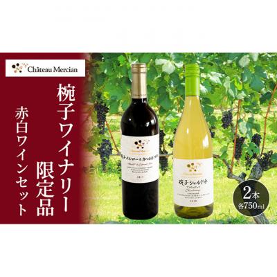 ふるさと納税 上田市 ワイン 飲み比べセット 750ml 2本セット 赤ワイン 白ワイン 赤白セット[54041118]