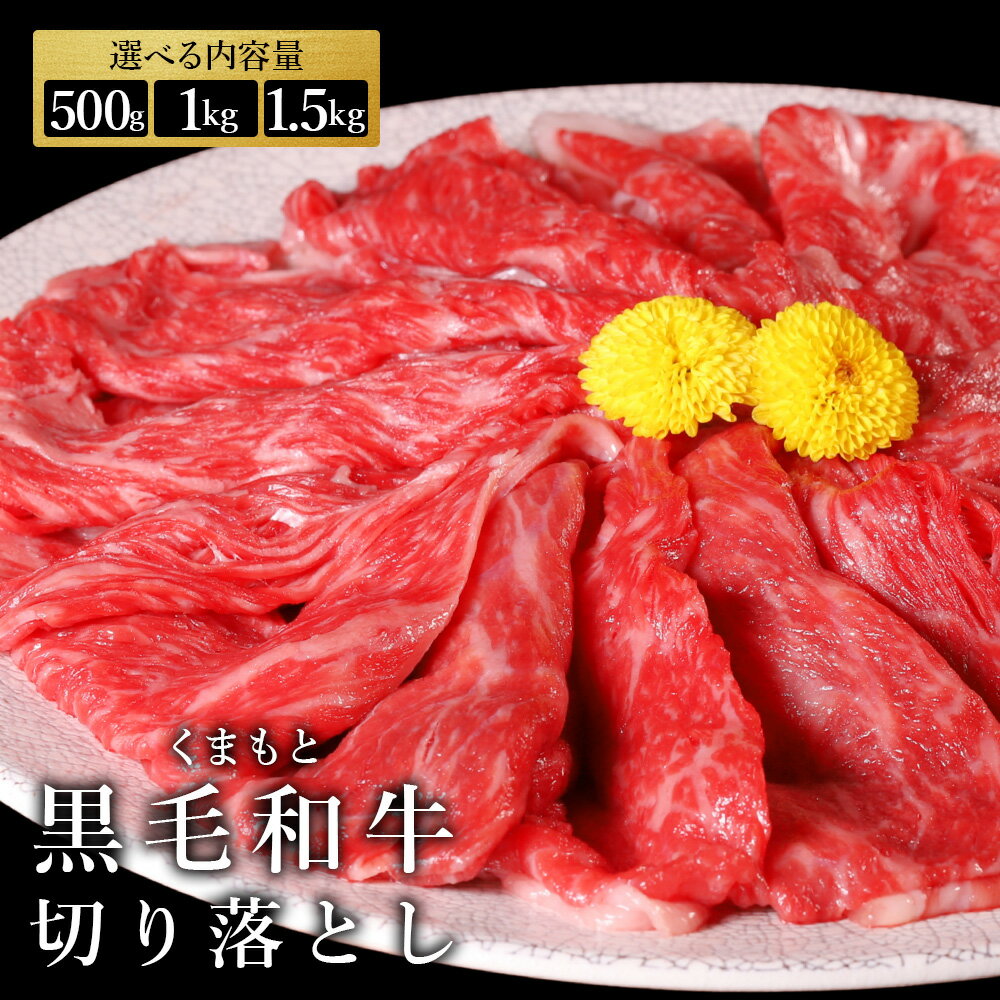 【ふるさと納税】 ＼2026年7月より順次発送／ くまもと黒毛和牛切落 500g~1.5kg 大容量 肉 牛肉 切り落とし 冷凍 小分け 送料無料 熊本県 水上村