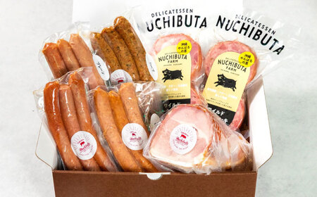 『ハム贅沢セット』 豚肉 ポークステーキ ソーセージ ハム 詰め合わせ お取り寄せ 国産 ギフト 冷凍 沖縄市 / DELICATESSEN NUCHIBUTA[BCAR007]