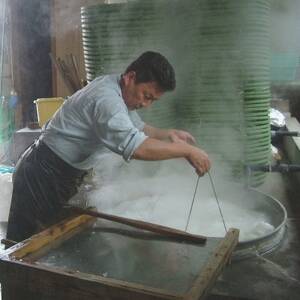 冷凍釜揚げしらす700g(100g×7袋)【配送不可地域：離島】【1296364】