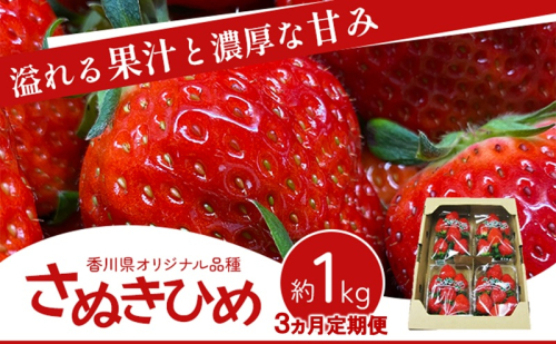 香川讃岐の毎月食べたい定期「さぬきひめいちご 1kg」3ヶ月定期便