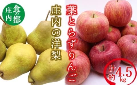 食の都庄内　庄内の葉とらずりんごと洋梨の詰め合わせ計約4.5kg※11月中旬から1月頃まで発送(庄内旬青果)