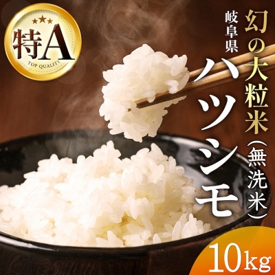 
                  令和7年産　岐阜県産ハツシモ(無洗米)10kg　国産 米【1540853】
                