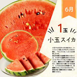 【発送月固定定期便】紀州和歌山産旬のフルーツセット(スイカ・桃・ひらたね柿)全3回【配送不可地域：離島・北海道・沖縄県】【4001470】