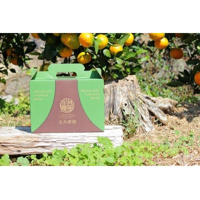 主井農園の国産レモンご家庭用　サイズ混合 2kg【配送不可地域：離島】【1441428】