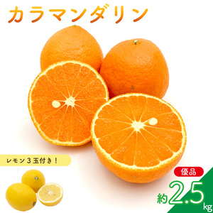 【先行予約】カラマンダリン (優品) 約2.5kg & 瀬戸内海の島レモン 3玉 セット | みかんみかんみかんみかんみかん 【KK319】