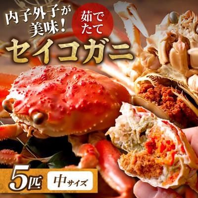 ふるさと納税 京丹後市 蟹の匠 魚政の内子外子が美味!茹でたて セイコガニ(セコ蟹)(香箱ガニ)(こっぺ)中サイズ 5匹