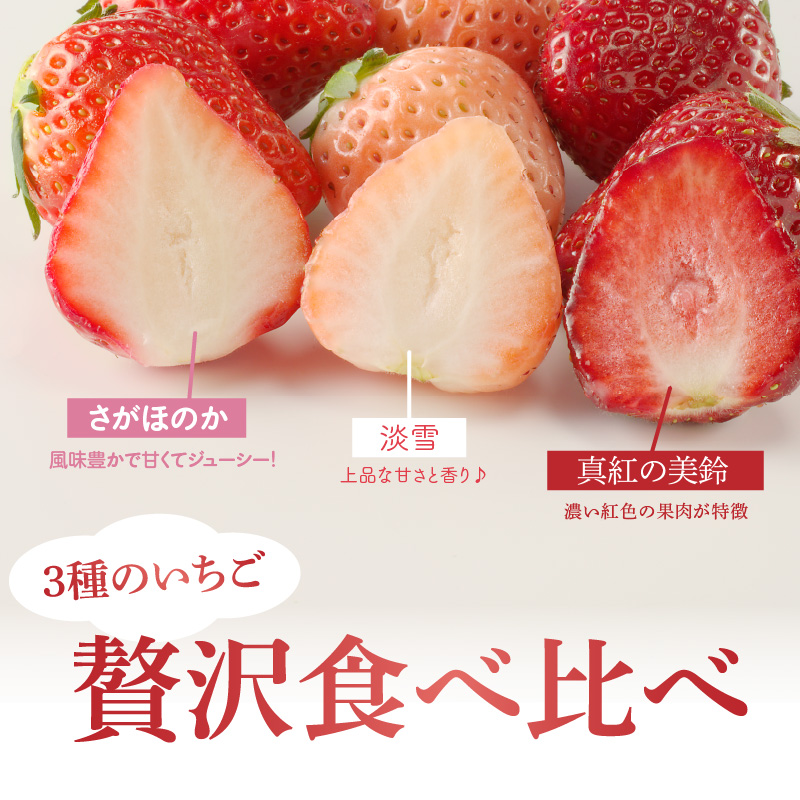 ★予約受付★豪華！3色いちご食べ比べセット　2025年1月～4月中に順次配送