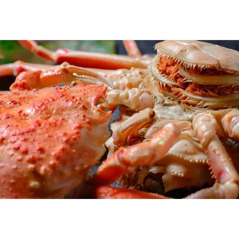【蟹の匠 魚政】内子外子が美味! 茹でたて セイコガニ（セコ蟹）（香箱ガニ）（こっぺ）中小サイズ 5匹セット