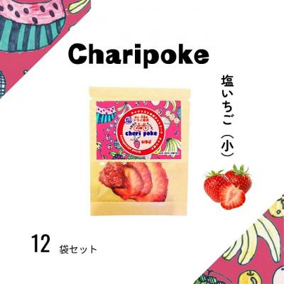 ふるさと納税 赤磐市 ドライフルーツ チャリポケ 塩 ドライ果実 いちご 小サイズ[NO5765-1098]