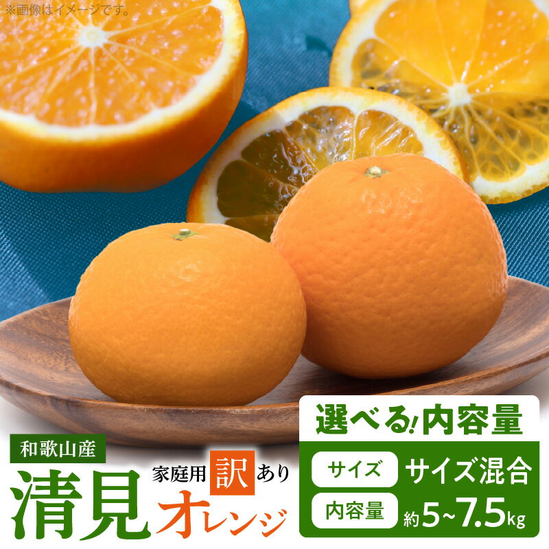 【ふるさと納税】【限定】 【2026年先行予約】紀州有田産 清見 オレンジ 選べる 容量 5kg ~ 7.5kg 【家庭用 訳あり】 タンゴール みかん 柑橘 フルーツ 果物 デザート 果実 お取り寄せ 和歌山県 湯浅町 有田 送料無料