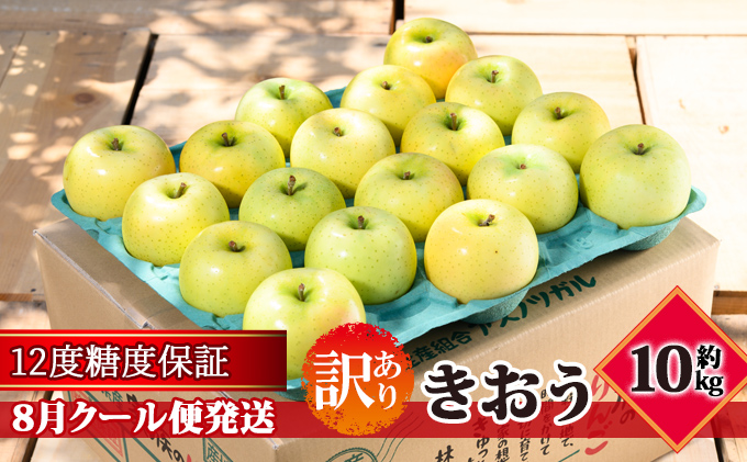 【8月クール便発送】（12度糖度保証）訳ありきおう約10kg【弘前市産・青森りんご】