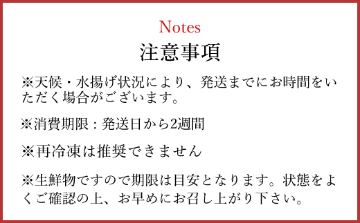 メバチマグロ 兜　頭半割 1個分 MBT006