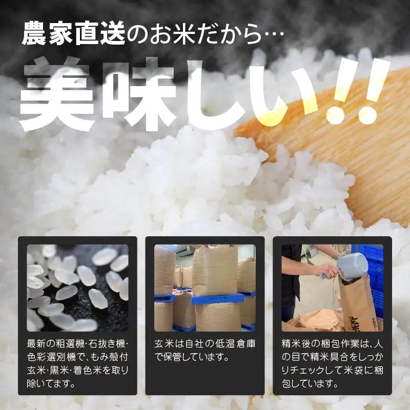 先行予約 定期便 3ヶ月連続お届け ハナエチゼン 2kg (1袋) × 3回 計6kg 白米 精米 ブランド米 2026年9月上旬以降順次発送予定 [A-8991]