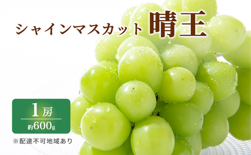 ぶどう 2026年 先行予約 特選 シャイン マスカット 晴王 1房 約600g ブドウ 葡萄  岡山県産 国産 フルーツ 果物 ギフト いろは堂 