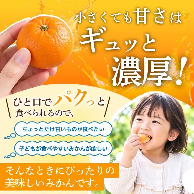 【2026年11月10日から発送】甘さ凝縮！濃蜜小粒 みかん 5kg 2S以下 小松島市