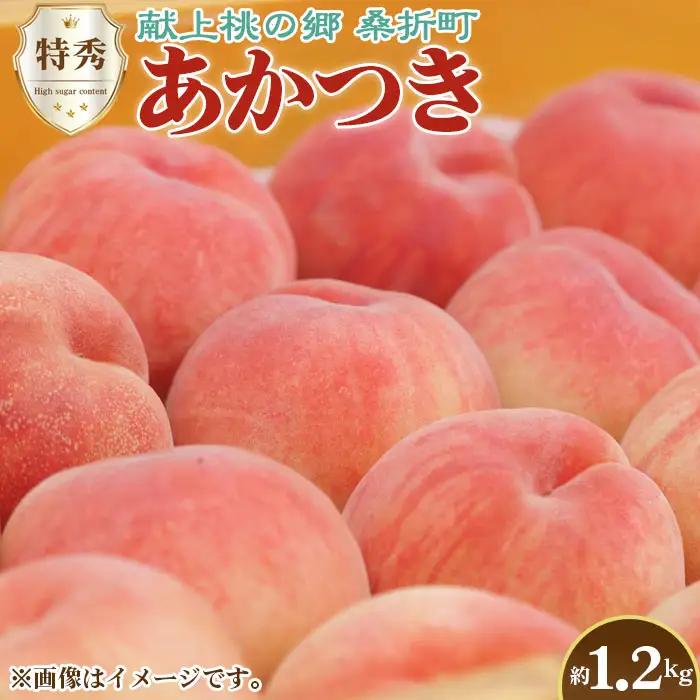 もも【あかつき・2026年産】特秀1.2kg「献上桃の郷ブランド品」桑折町産　JAふくしま未来　桃 ／ もも モモ 果物 フルーツ 旬 甘い 甘み ジューシー 果肉 果汁 新鮮 フレッシュ デザート おいしい 産地直送 桑折 こおり こおりまち 福島県 特産品 No.224