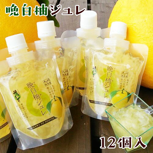 【ふるさと納税】晩白柚ジュレ170g×12個 道の駅竜北《30営業日以内に出荷予定(土日祝除く)》 熊本県氷川町（クラウドファンディング 対象）