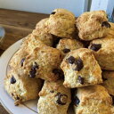 【ふるさと納税】スコーン 12個 セット 季節のスコーン nino scone ココナッツオイル 洋菓子 お菓子 ご家庭用 詰め合わせ