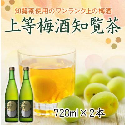 ふるさと納税 南九州市 「上等梅酒知覧茶」720ml×2本