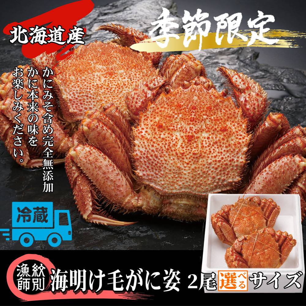 【ふるさと納税】北海道産 海明け 毛がに 姿 2尾 冷蔵便 | 選べる チルド 期間限定 旬 高品質 毛蟹 毛ガニ かに カニ 蟹 かにみそ カニミソ 蟹味噌 グルメ プレゼント ギフト ふるさと納税 納税 北海道 紋別市