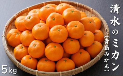 【2026年1月中旬より順次発送】甘さと酸味がマッチした清水のミカン（青島みかん）4.5kg【配送不可：離島】◆