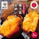 【ふるさと納税】 《先行予約》 種子島 安納いも さつまいも 3kg 焼きいも 焼き芋 本場 安納芋 Qさま キューさま さつま芋 甘い ねっとり スイーツ おやつ グルメ お取り寄せ おせち 人気 種子島産 返礼品 南種子町 鹿児島 かごしま 【観光物産館トンミー市場】