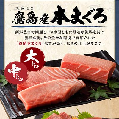 ふるさと納税 松浦市 長崎県松浦市鷹島産本まぐろ桐箱入　本マグロ中トロ約200g　大トロ約400g　計約600g |  | 01
