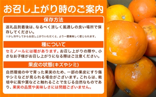 オレンジ セミノールオレンジ 約5kg 株式会社魚鶴商店《5月上旬-5月下旬頃出荷予定》 和歌山県 日高川町 柑橘 フルーツ
