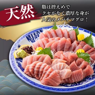 ふるさと納税 室戸市 天然メバチマグロ 【 中トロ 】1kg(柵) |  | 02