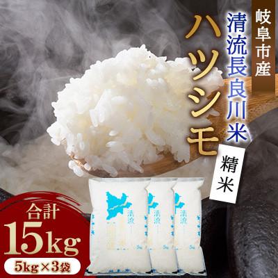 ふるさと納税 岐阜市 岐阜市産 ハツシモ 清流長良川米 精米 15kg(5kg×3袋)