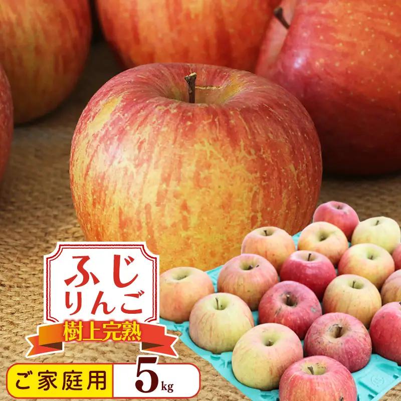 令和8年産 訳あり りんご 5kg  「ふじりんご」生産者直送 2026年産 山形県産 【2026年11月下旬頃から12月下旬頃発送予定】　011-B-NG009