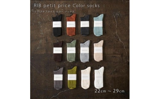 7-196 HARUSAKU [ CC ] ハルサク リブカラー ソックス 靴下 5P set 22cm～24cm 22cm～24cm