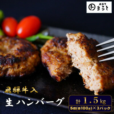 【ふるさと納税】飛騨牛入特製生ハンバーグ　100g×15個【配送不可地域：離島】【1721800】