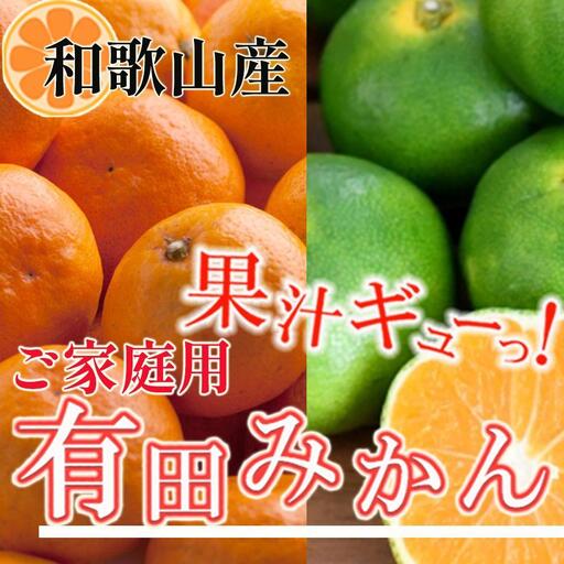 ［先行予約］家庭用 有田みかん10kg+250g（傷み補償分）［2026年10月初旬から2027年1月末日頃順次発送予定］［IKE314］