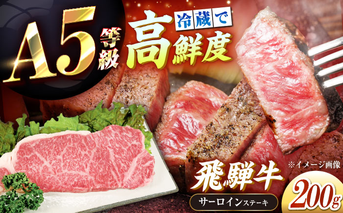 【チルド（冷蔵）発送！】 「飛騨牛」 A5等級 サーロインステーキ 200g / 牛肉 焼肉 鉄板焼き 網焼き BBQ / 恵那市 / 東美濃農業協同組合 [AUFX010]